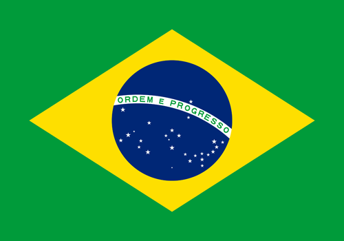 Brazil flag small
