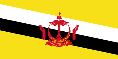 Brunei flag small