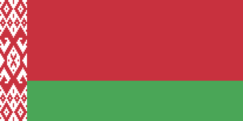 Belarus flag small