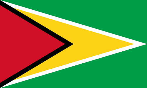 Guyana flag small