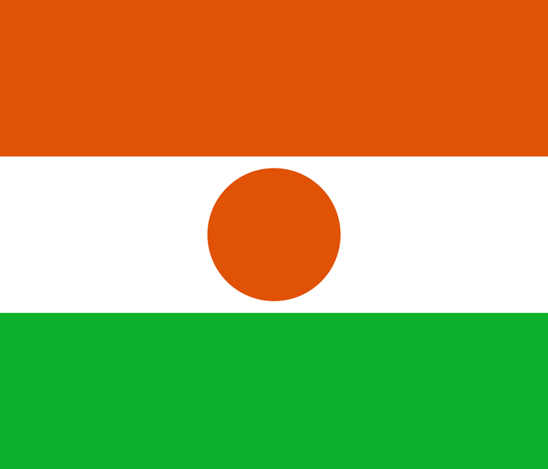 Niger flag