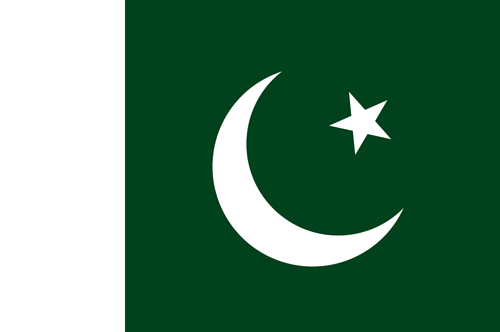 Pakistan flag small