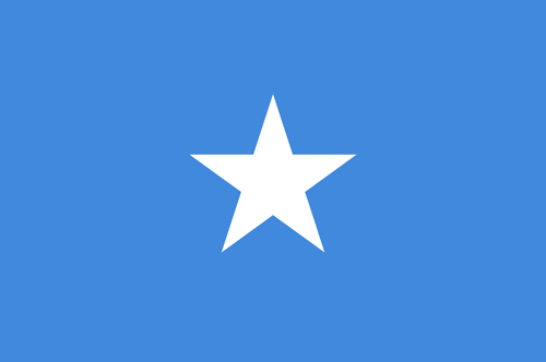 Somalia flag small