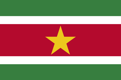 Suriname flag small