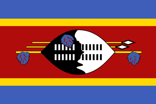Swaziland flag small