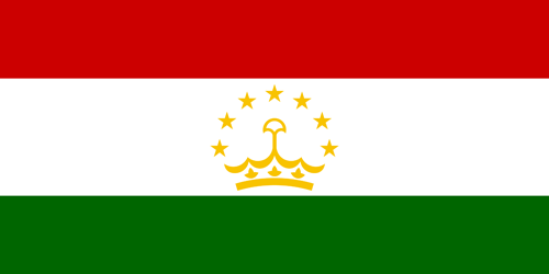 Tajikistan flag small