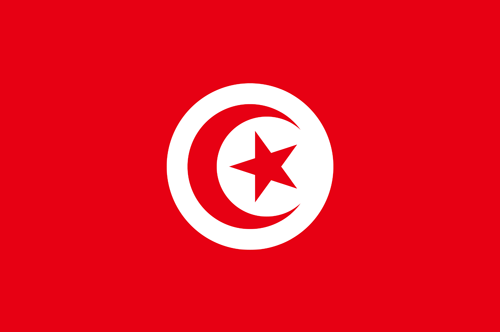 Tunisia flag small