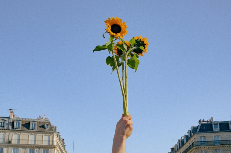 Sunflower Declaration