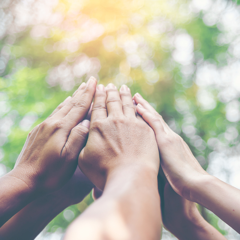 People hands assembling Donate Page shutterstock 1555265336