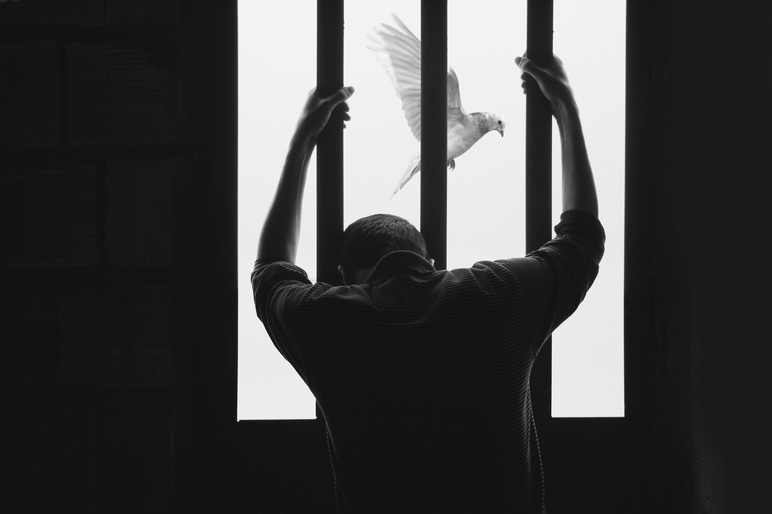 Hasan almasi a IRBG Pafi74 unsplash