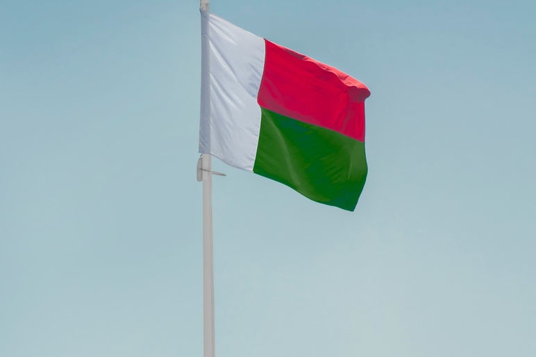 Aboodi vesakaran 1 P13 r P5y E unsplash madagascar
