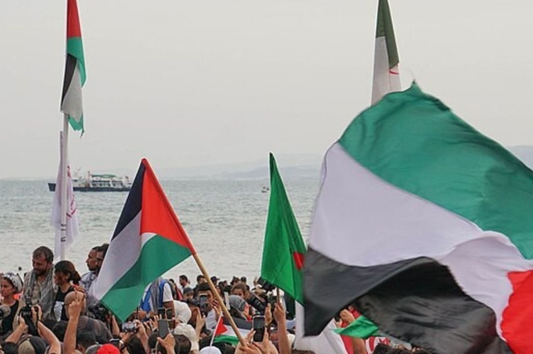 FLOTILLA