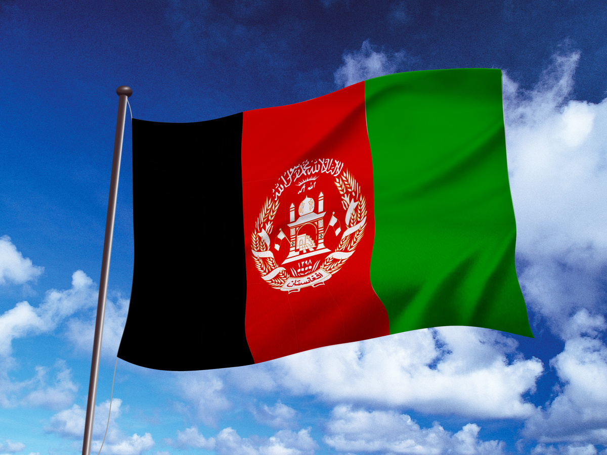 Shutterstock 1430964128