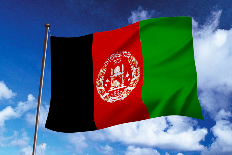 Shutterstock 1430964128