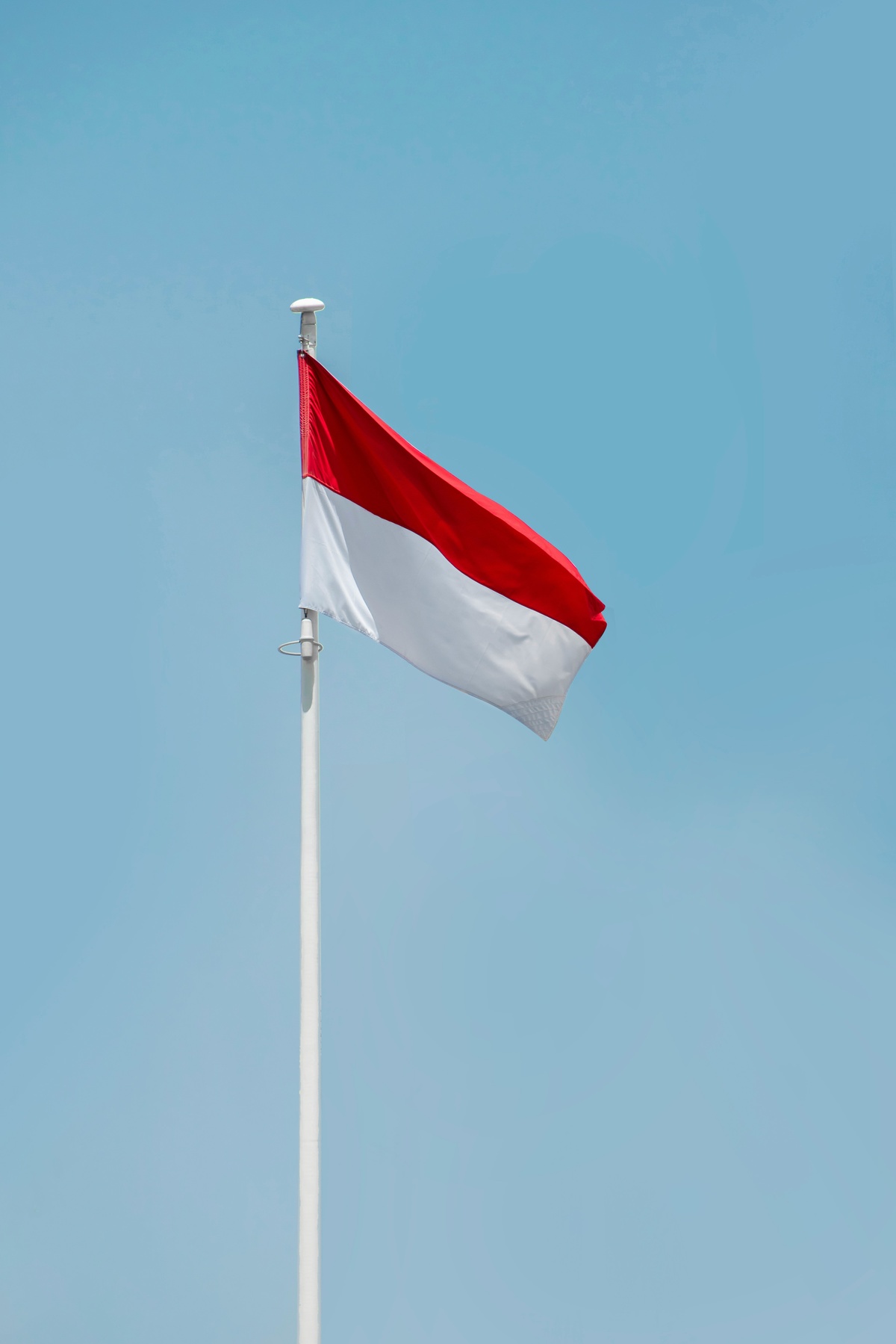 Indonesia flag
