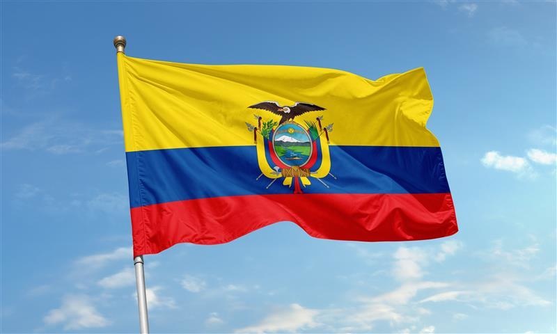 Shutterstock 2632953261